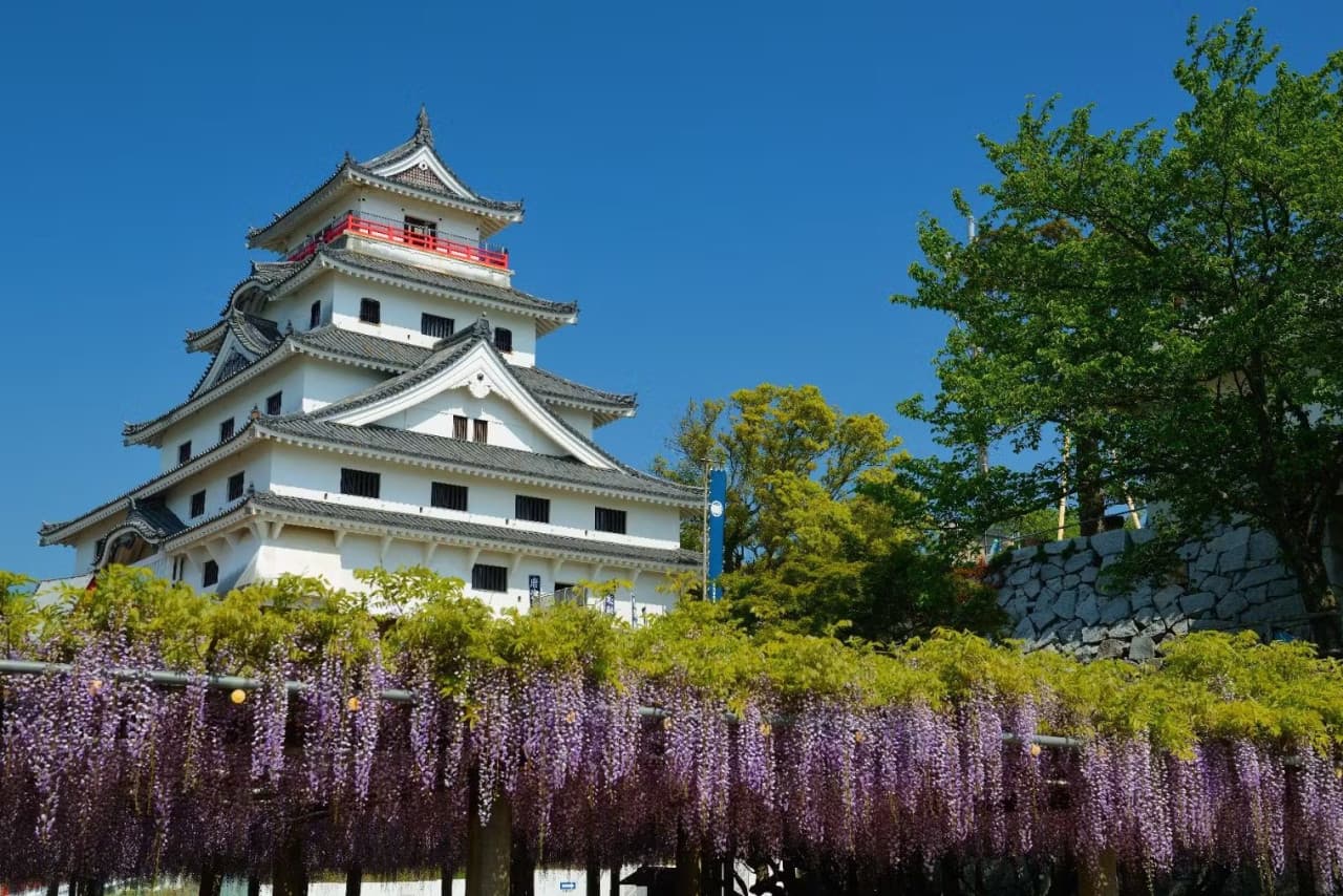 Karatsu Castle Ticket - მთავარი სურათი