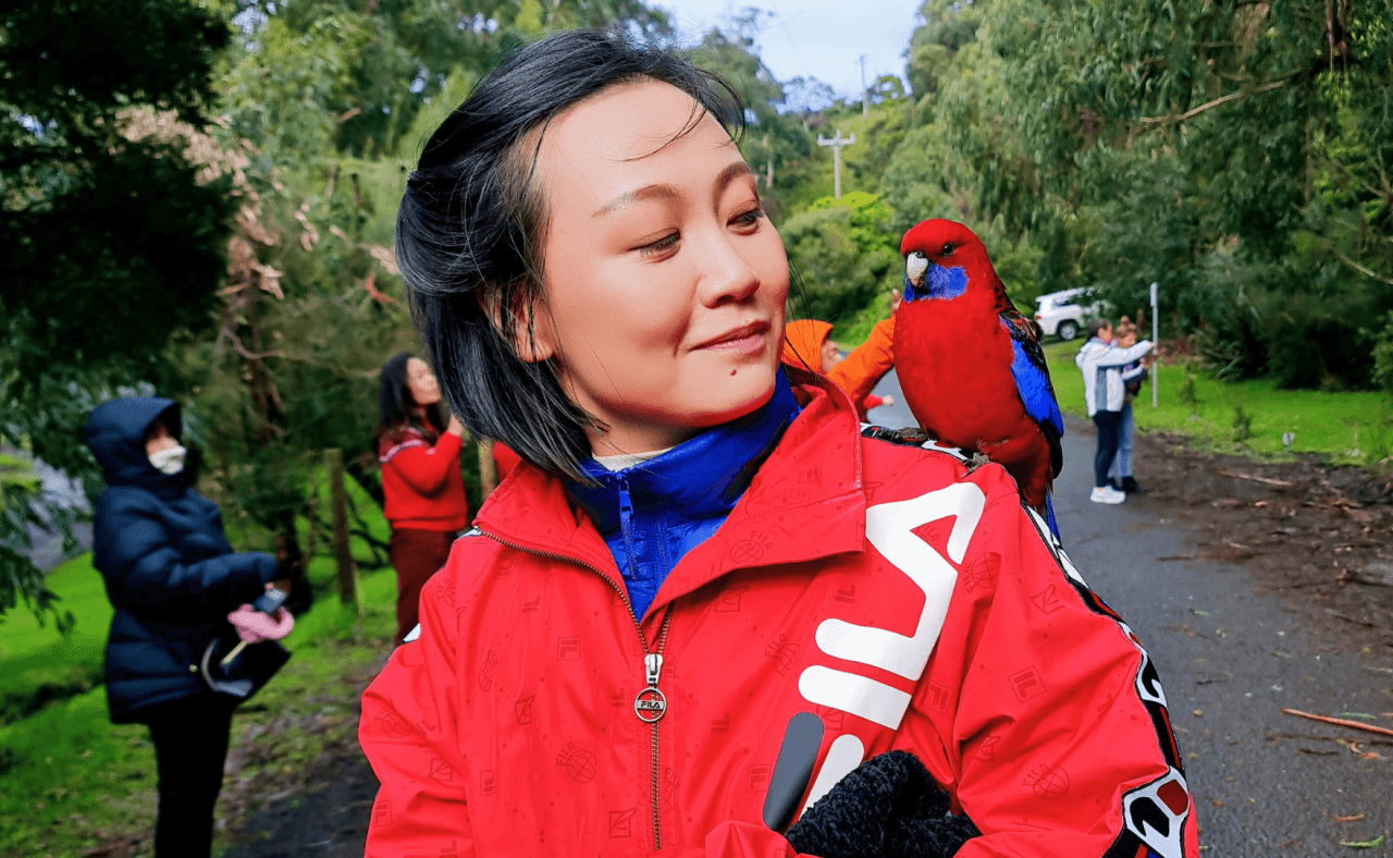 Great Ocean Road Tour from Melbourne - სურათი 16