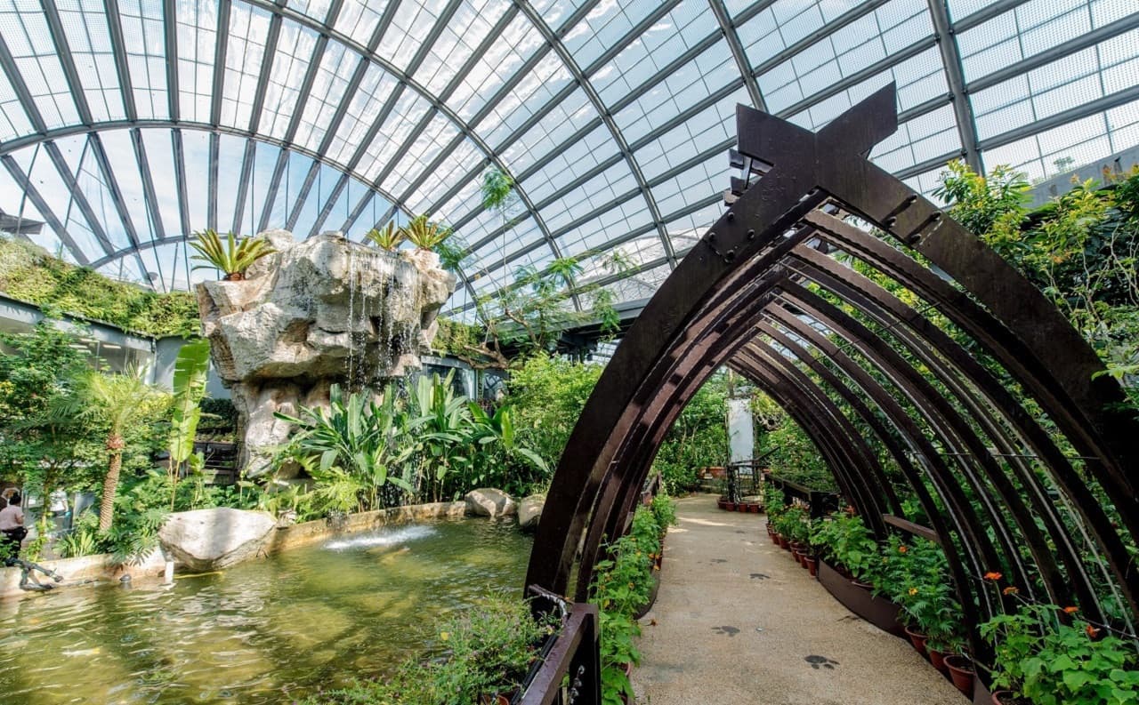 Entopia by Penang Butterfly Farm Ticket - სურათი 3