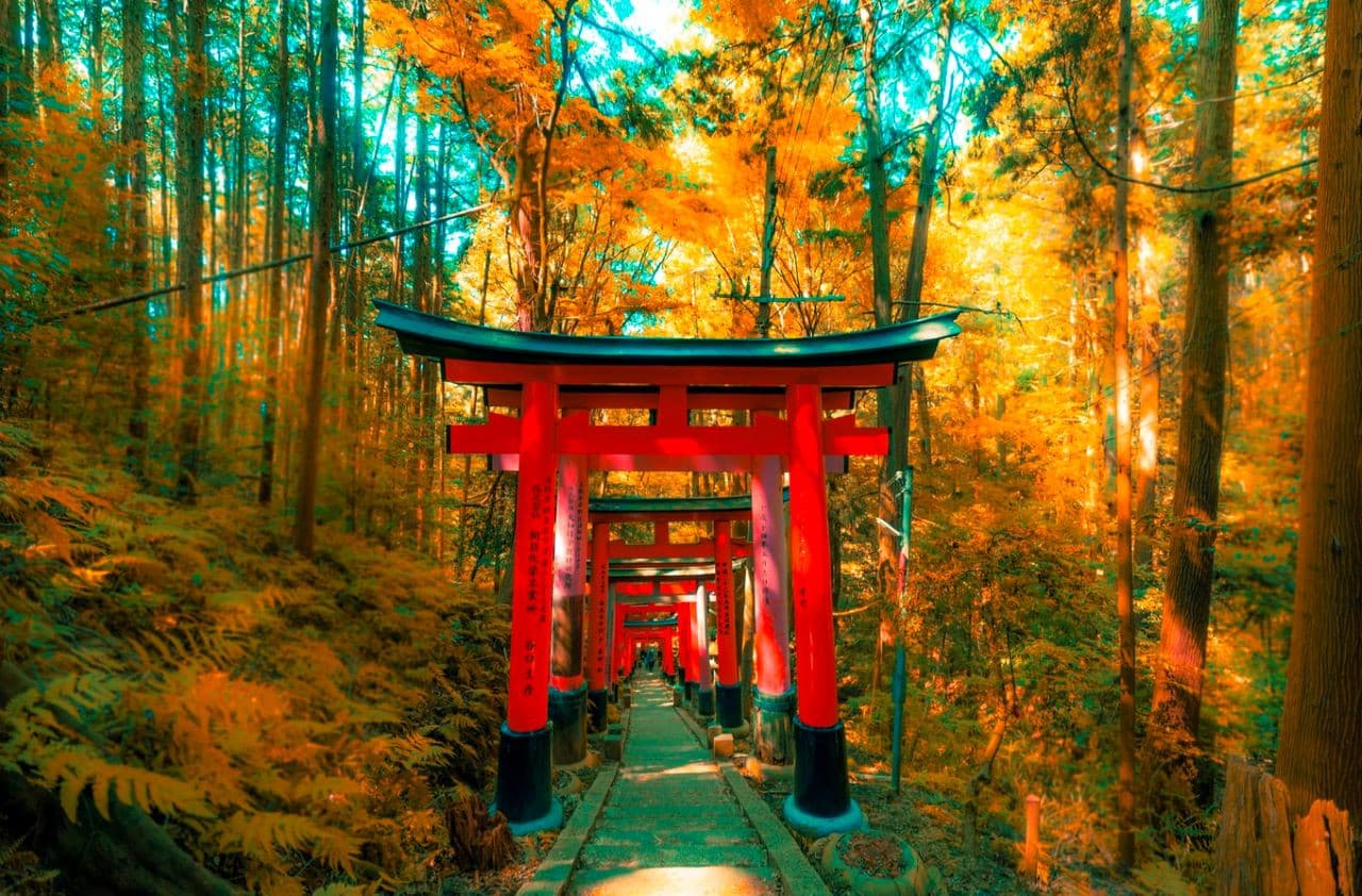 Kyoto Full-Day Tour: Nijo Castle, Kinkaku-ji,  Fushimi Inari Taisha, Kiyomizu-dera Temple - სურათი 11