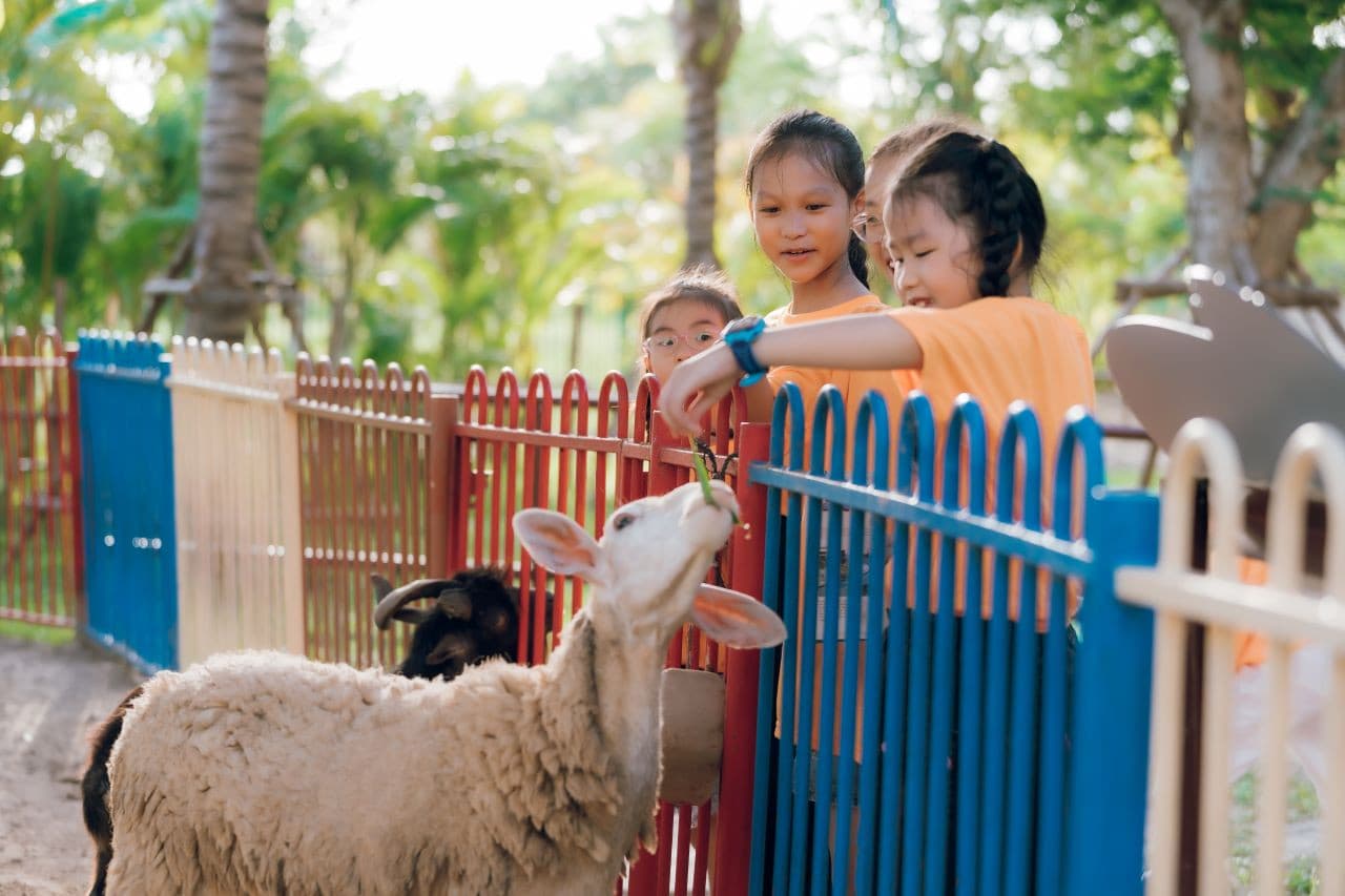 VinWonders Nam Hoi An Amusement Park Ticket - სურათი 11