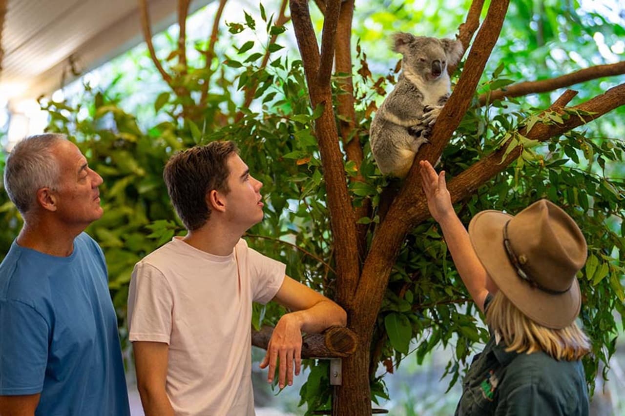Wildlife Habitat Port Douglas Ticket - სურათი 4