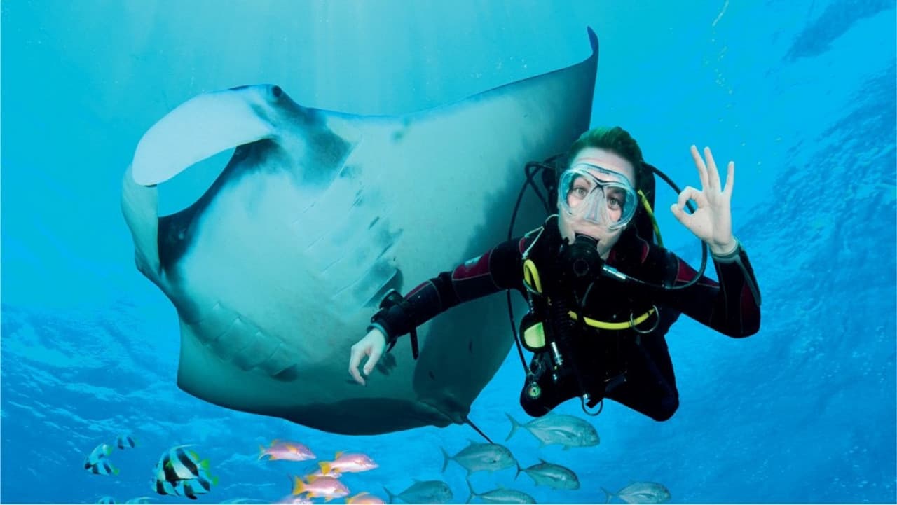 Ultimate Marine Life Experience at Adventure Cove Waterpark - სურათი 3