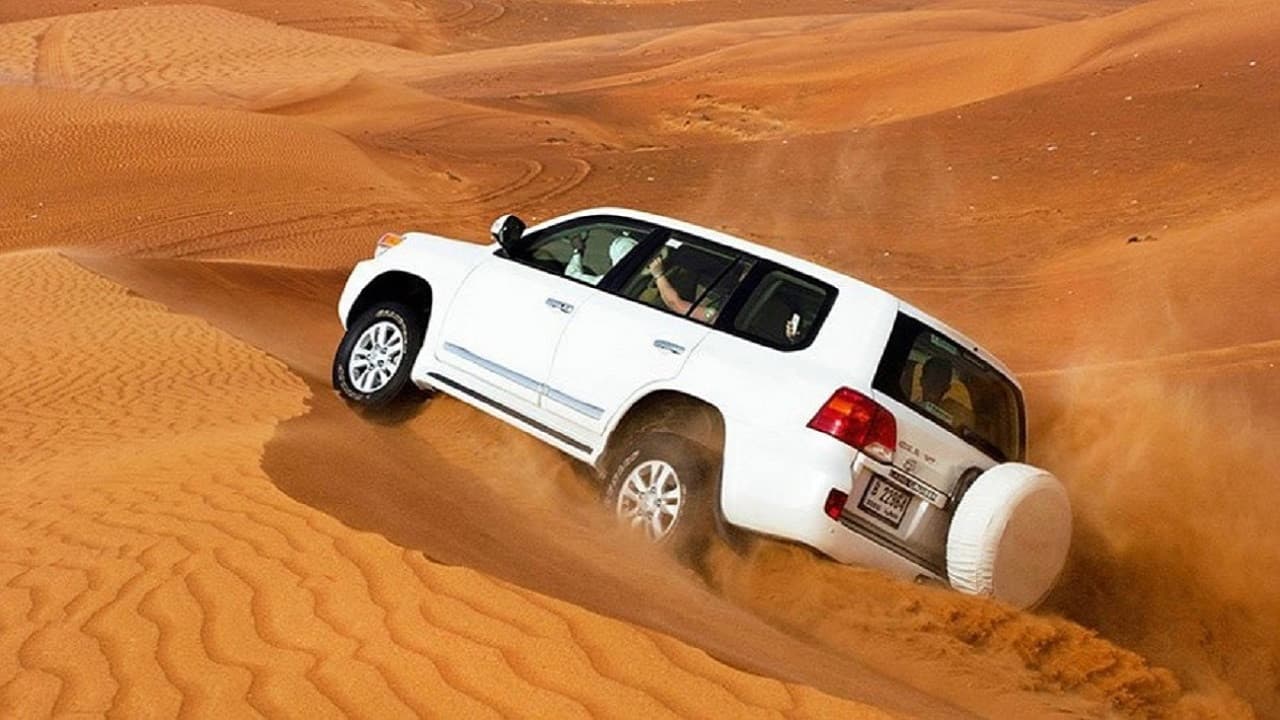 Liwa Desert Safari Tour - სურათი 4