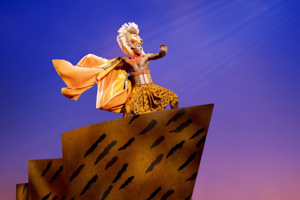 The Lion King Broadway Musical Ticket in New York - სურათი 7