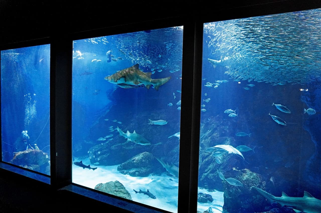 Marine World Uminonakamichi - სურათი 4