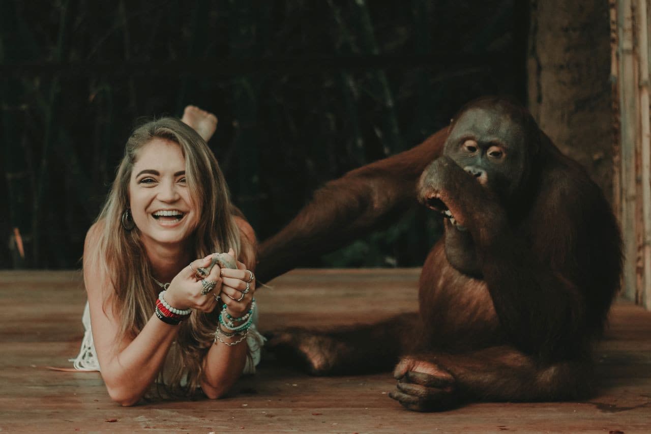 Lombok Wildlife Park Orangutan Interaction - სურათი 2