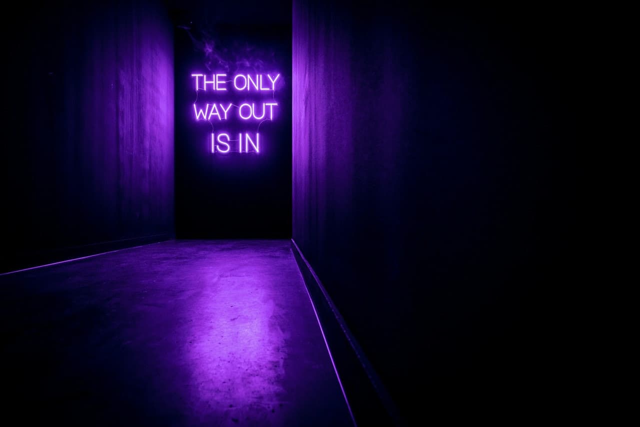 AMAZE: The Immersive Experience - სურათი 10