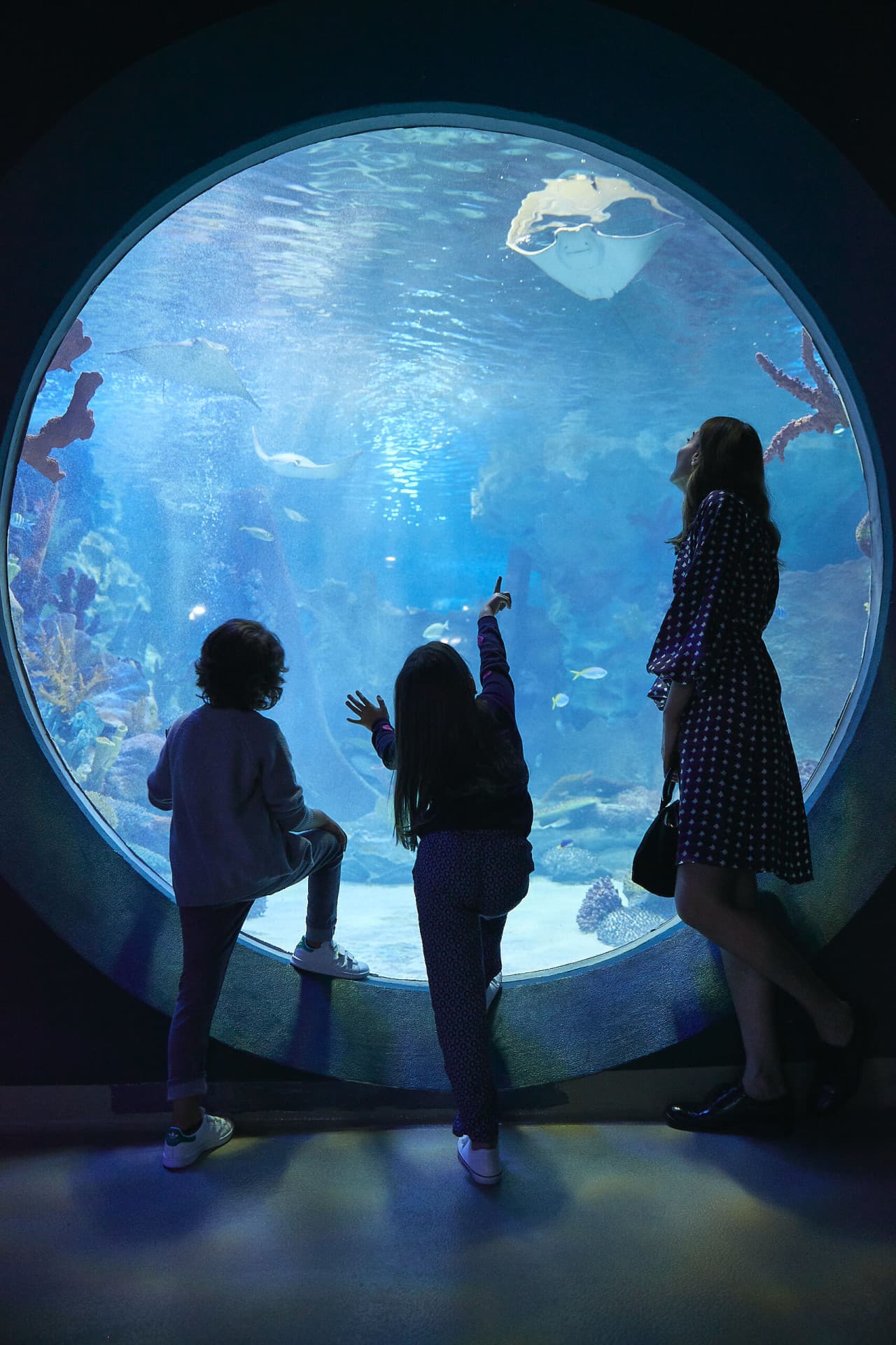 Emaar Aquarium and Underwater Zoo Ticket - სურათი 4