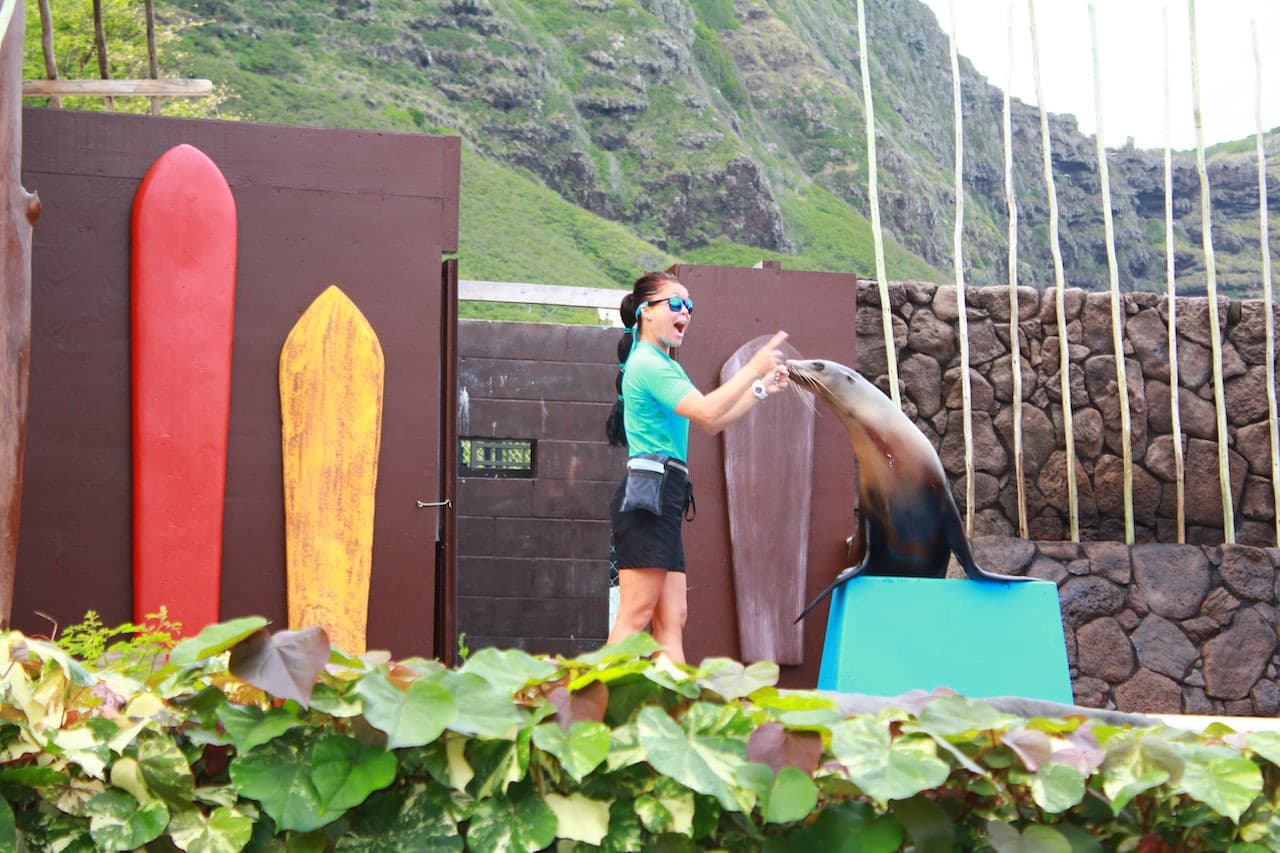 Sea Life Park Hawaii - სურათი 6