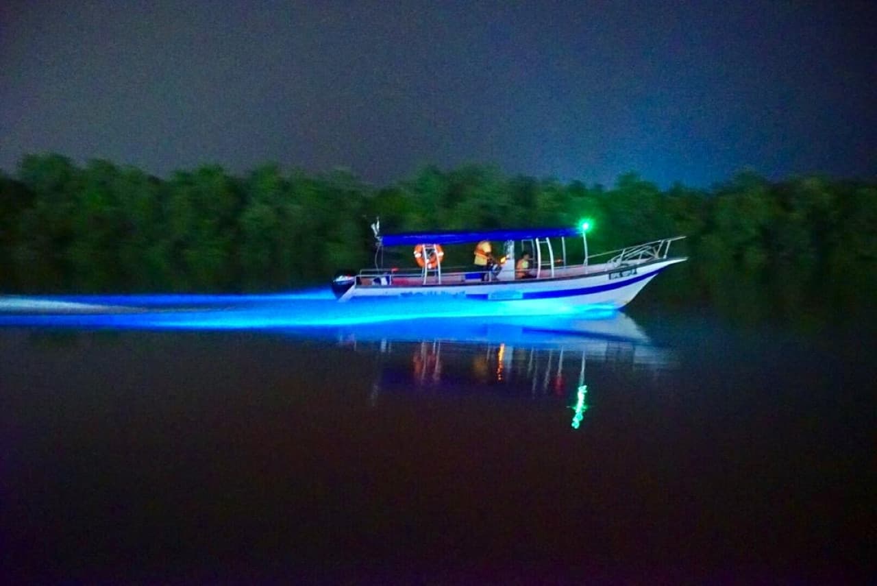 Blue Tears Boat Cruise in Kuala Selangor - სურათი 5