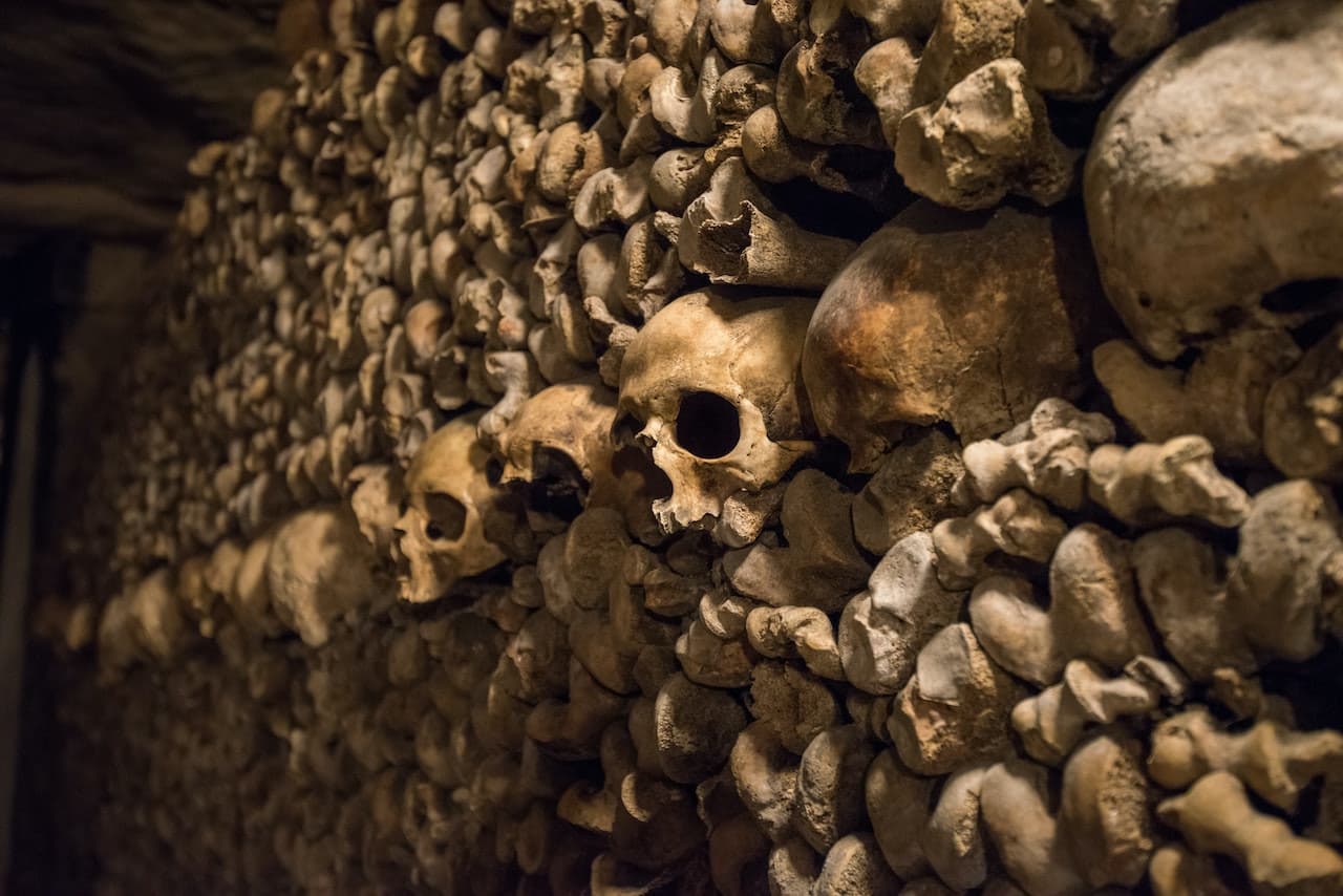 The Paris Catacombs - Skip-the-line with Audio Guide - მთავარი სურათი