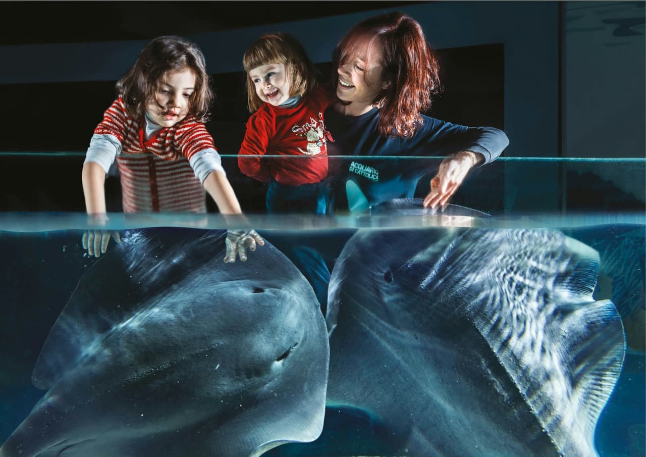Aquarium of Cattolica Ticket - სურათი 3