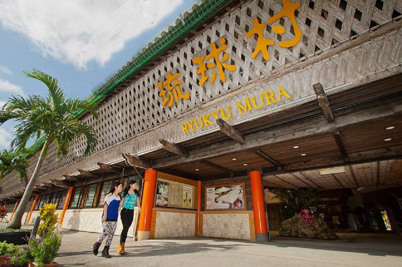 Okinawa Churaumi TokuToku 5 Pass - სურათი 10