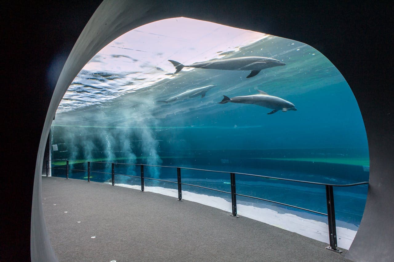 Aquarium of Genoa Ticket - სურათი 2