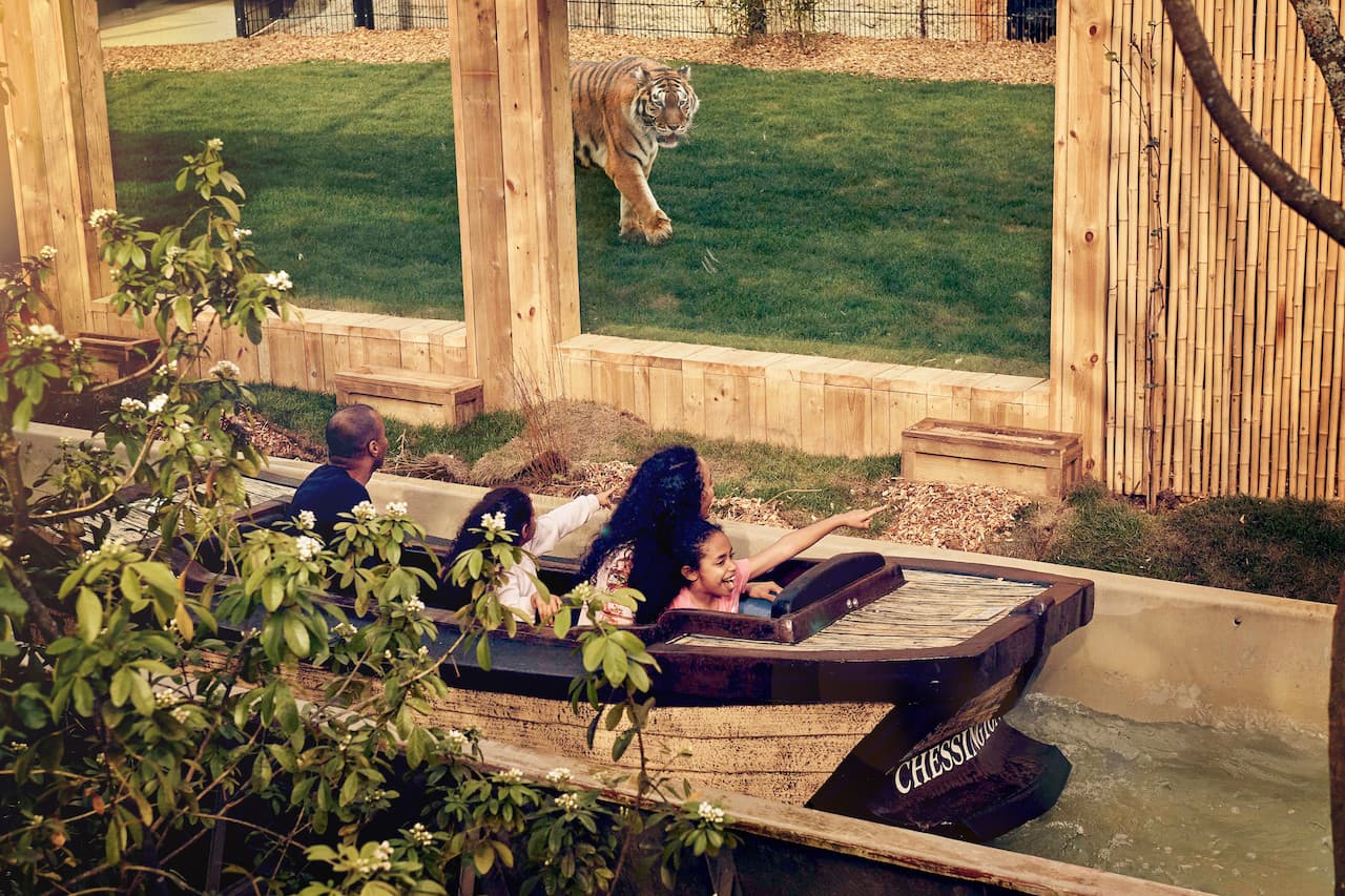 Chessington World of Adventures Ticket - სურათი 17