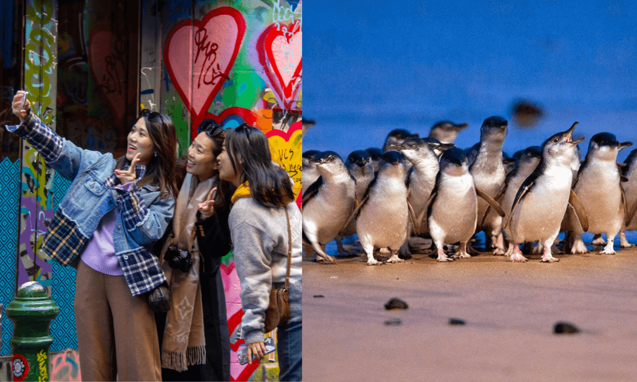 Melbourne City Discovery Tour with Penguin Parade - სურათი 17