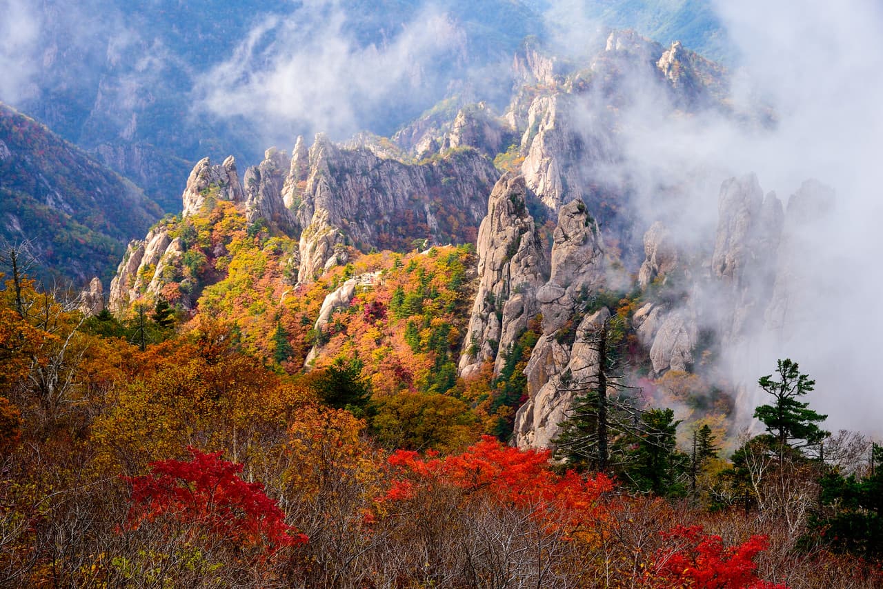 Mt. Seorak National Park Autumn Foliage One Day Tour from Seoul - სურათი 5