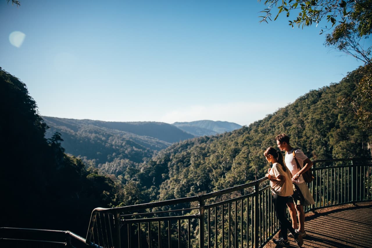 Springbrook National Park Tour: Natural Bridge and Waterfalls - სურათი 4