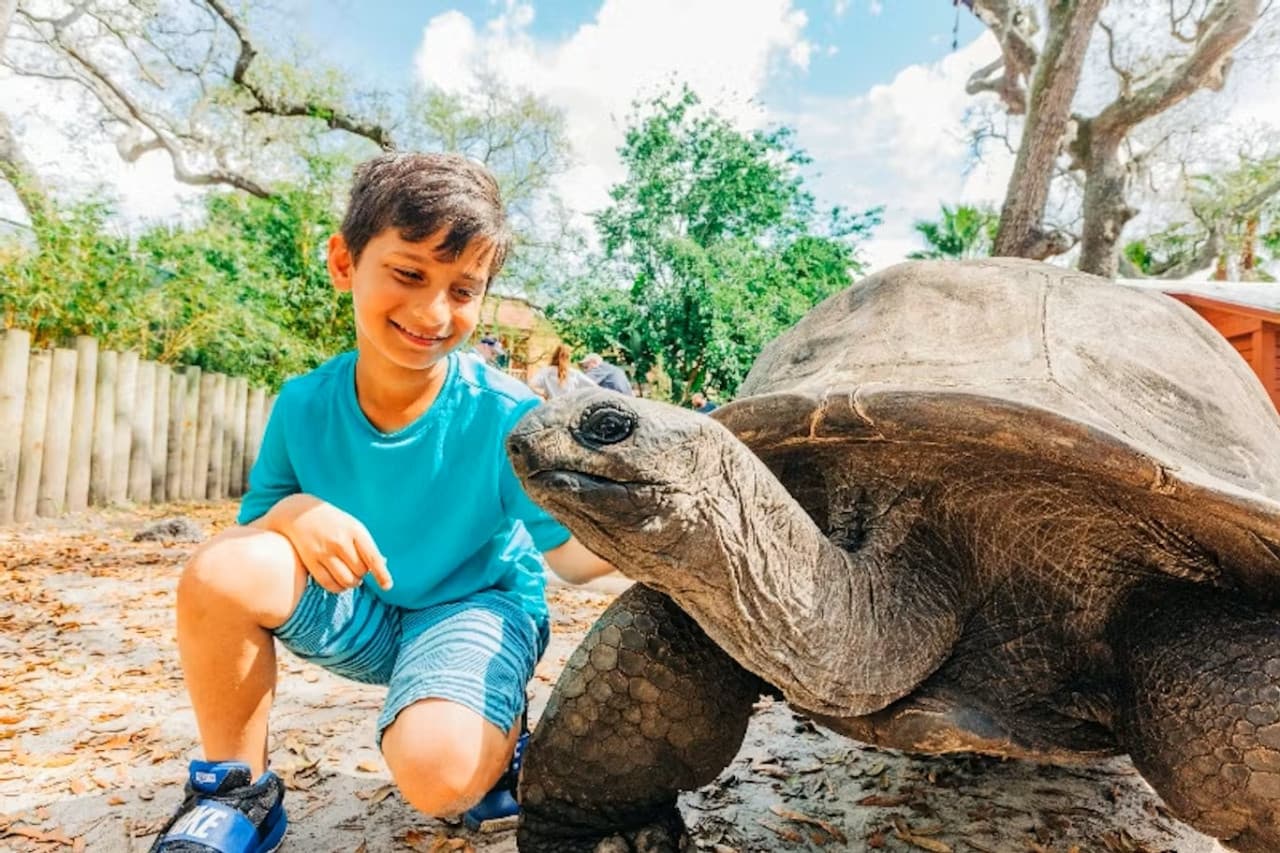ZooTampa at Lowry Park Ticket - მთავარი სურათი
