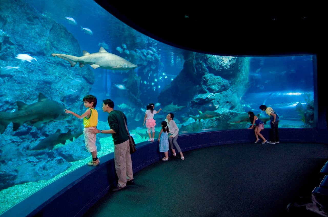 SEA LIFE Bangkok Ocean World Ticket - სურათი 7