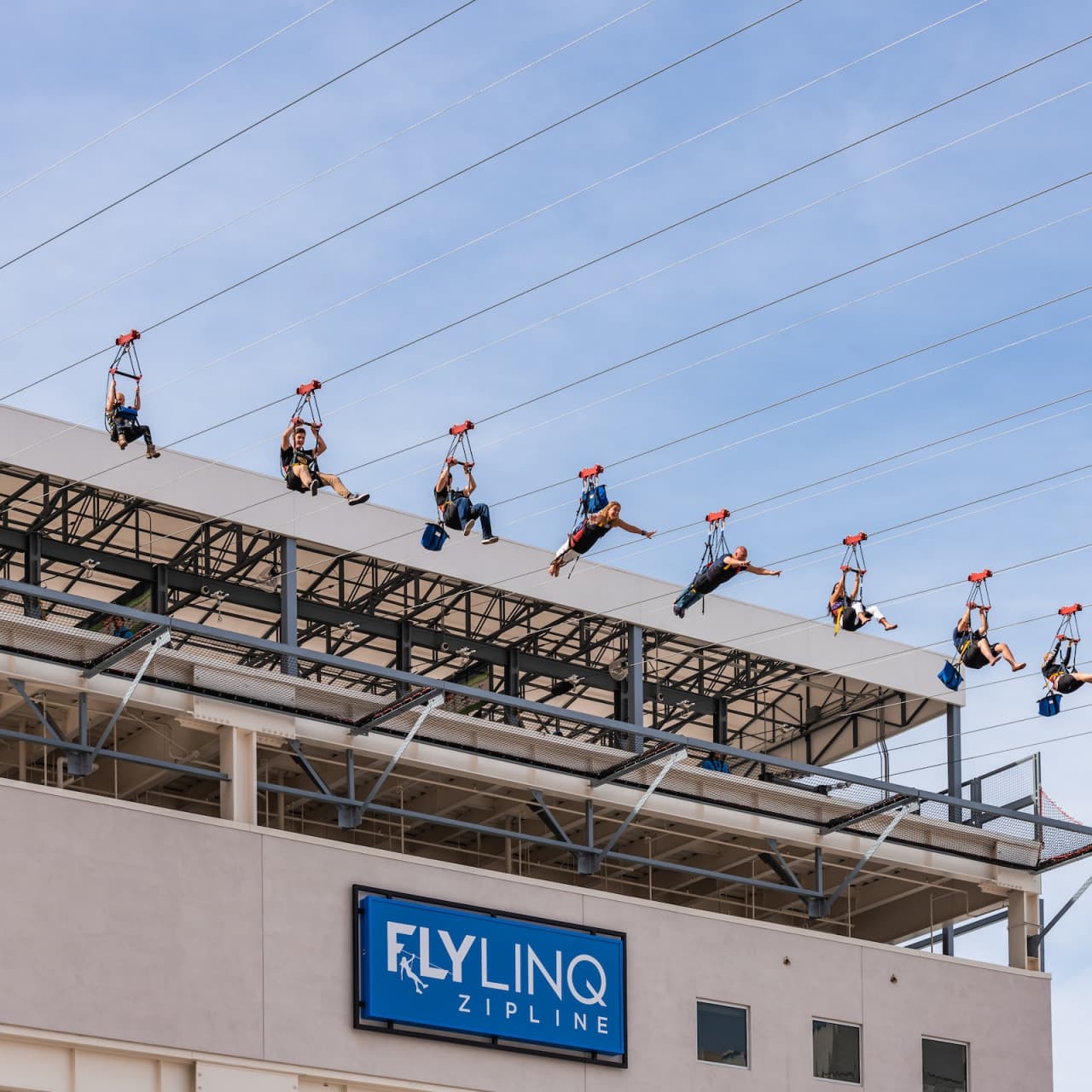 Fly LINQ Zipline - სურათი 3