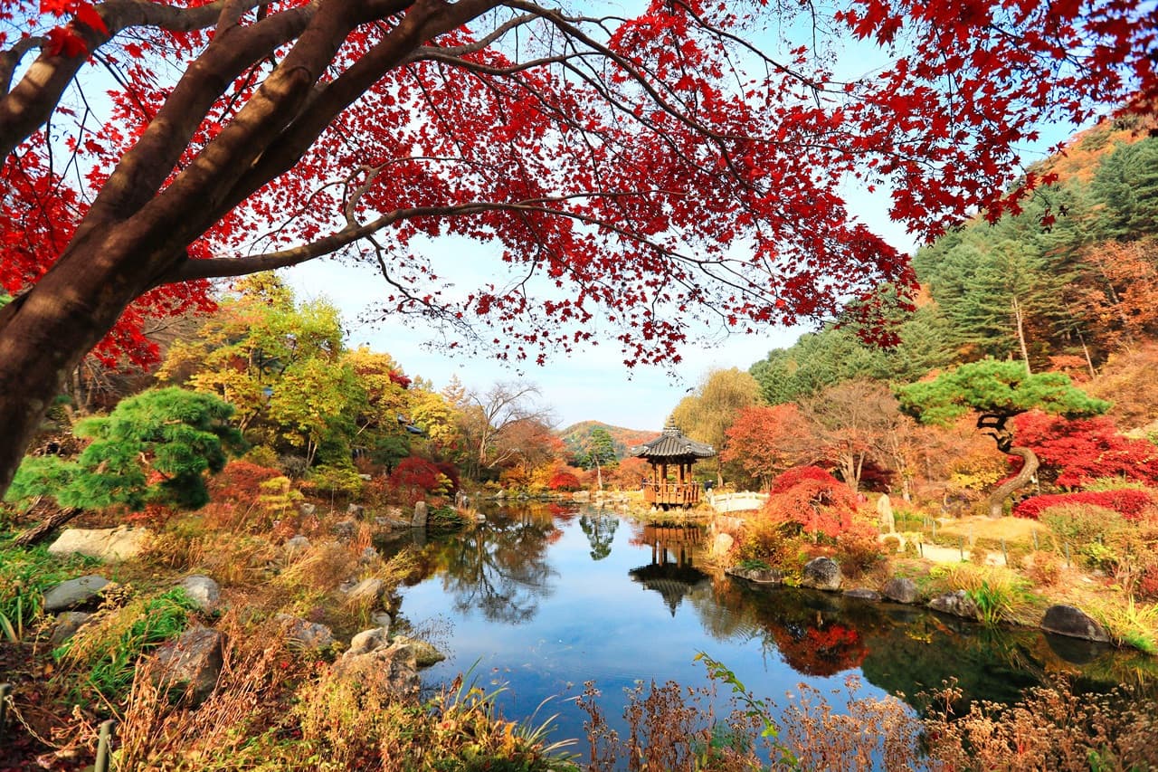 Nami Island, Mount Seorak, and Garden of Morning Calm Full-Day Tour from Seoul - სურათი 2