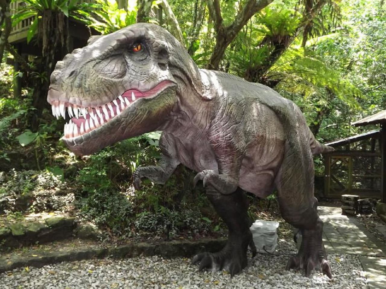 Okinawa Dino Park Yanbaru Subtropical Forest Ticket - მთავარი სურათი