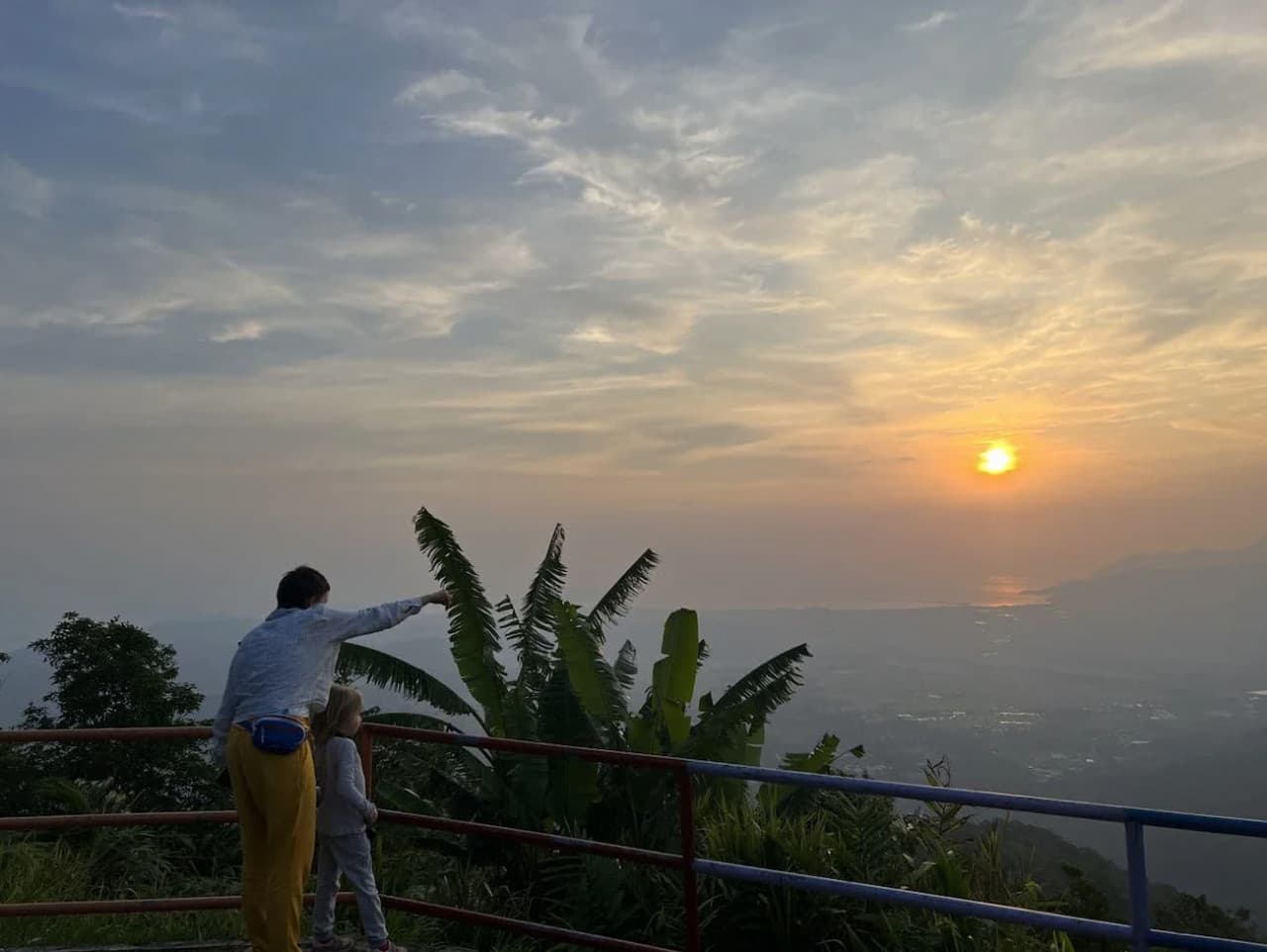 Langkawi Rainforest After Dark - მთავარი სურათი