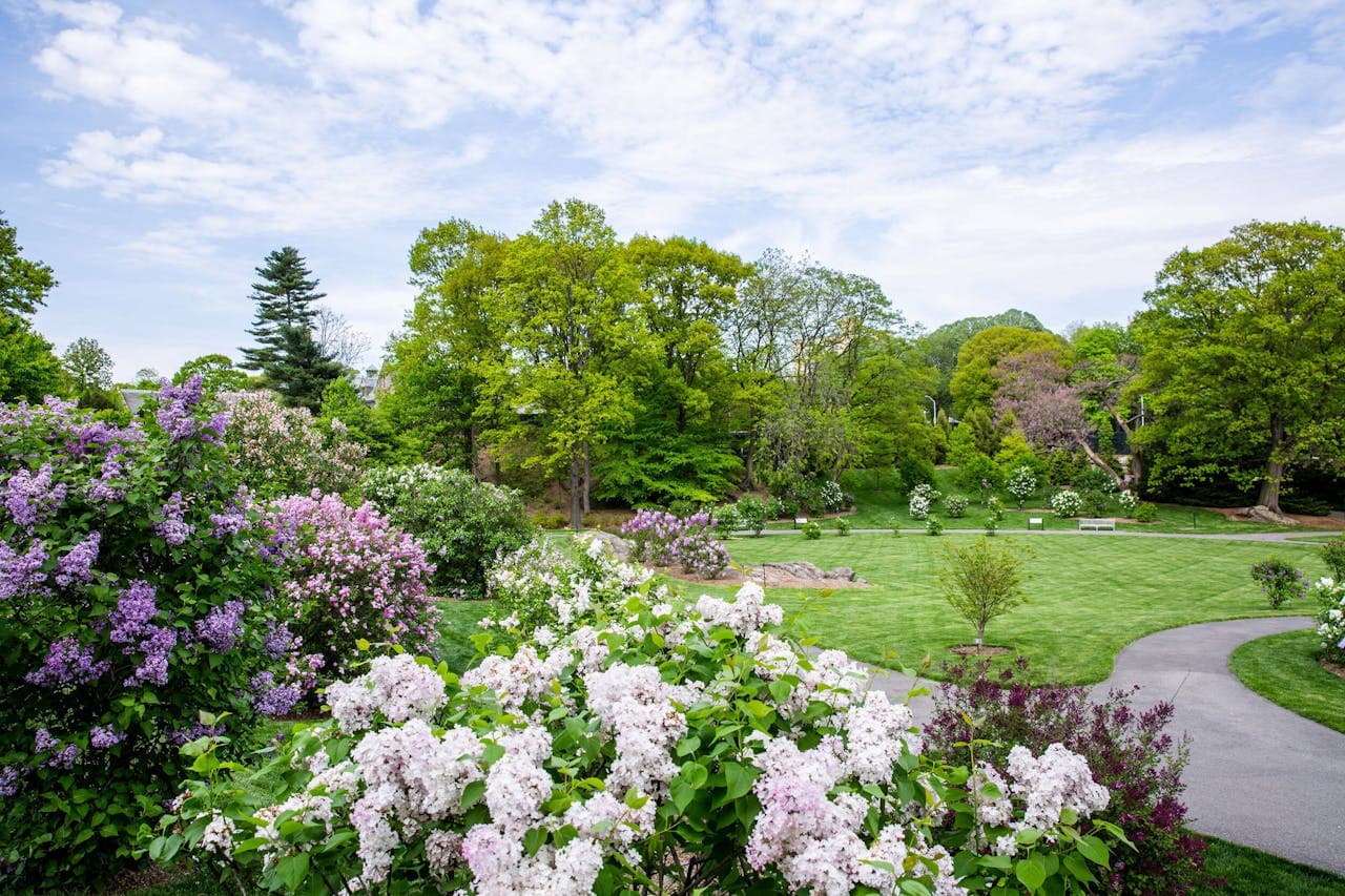 New York Botanical Garden Ticket - სურათი 11