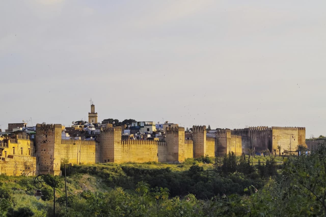 Fez Full-Day Tour from Casablanca: Medina of Fez, Al-Qarawiyyin Mosque, Al-Attarine Medersa - სურათი 4