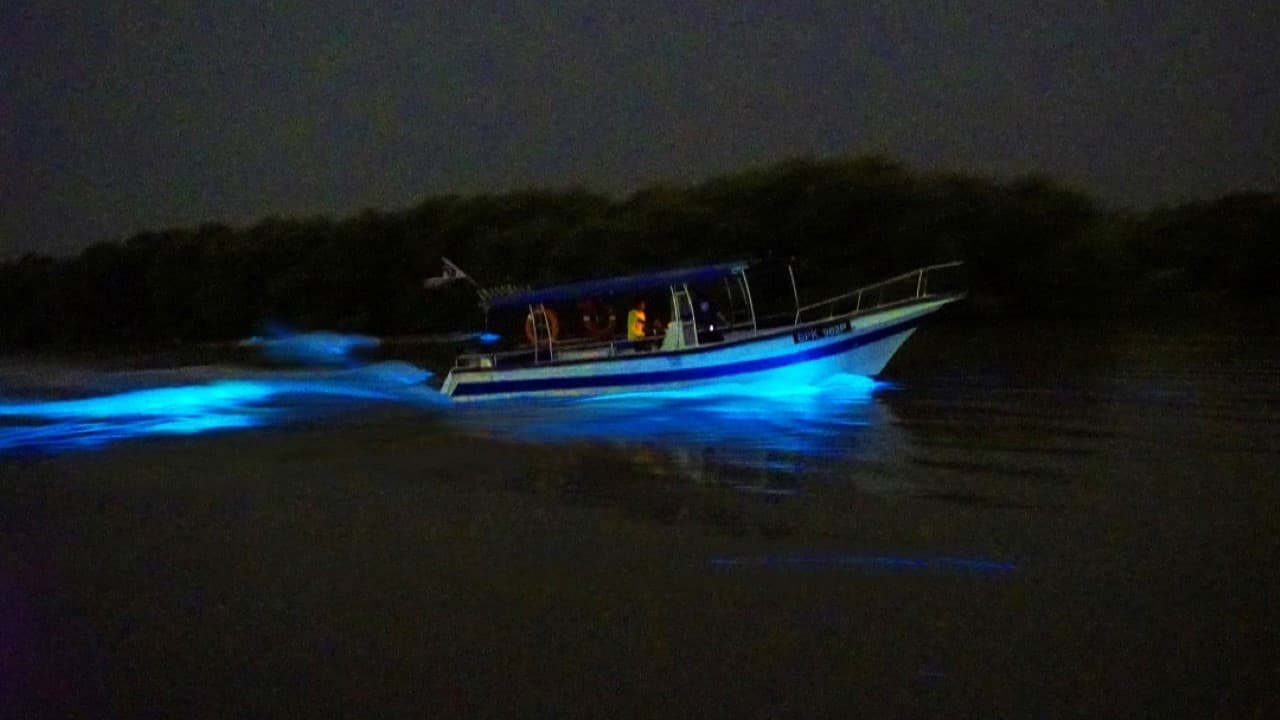 Blue Tears Boat Cruise in Kuala Selangor - სურათი 6