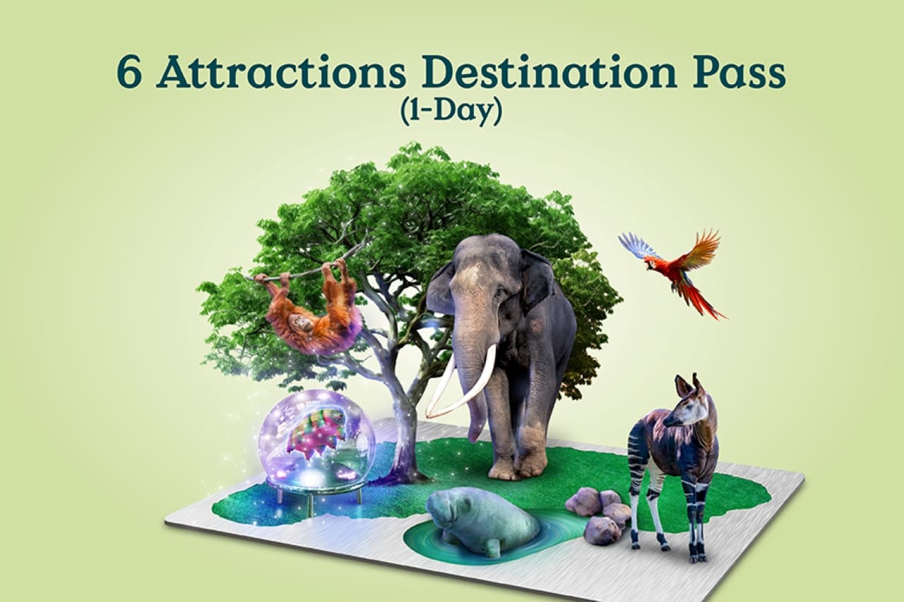 Mandai Destination Pass: Visit Up to 6 Attractions in 1 or 5 Days - მთავარი სურათი