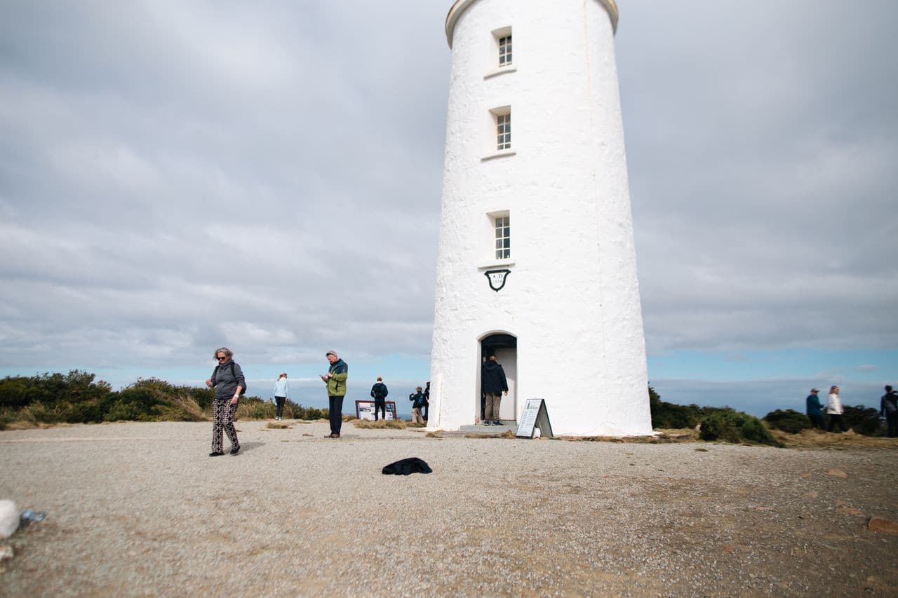 Bruny Island Full-Day Tour from Hobart - სურათი 5
