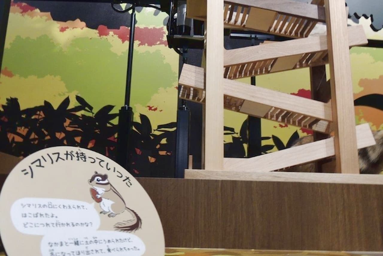 Hokkaido Museum Ticket - სურათი 3