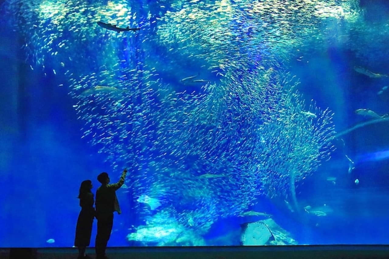 Aqua World Ibaraki Prefectural Oarai Aquarium Ticket - სურათი 4