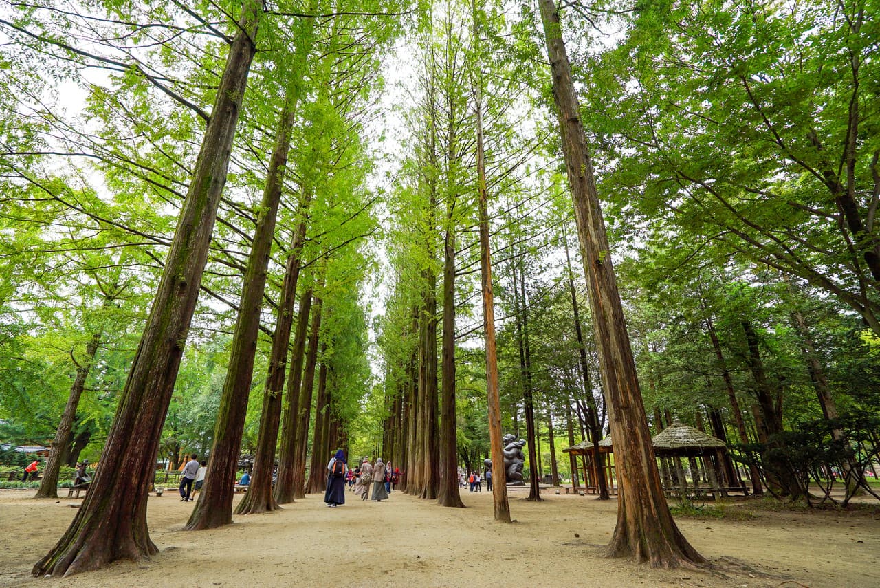 Nami Island, Petite France, and Italian Village Tour from Seoul - სურათი 2