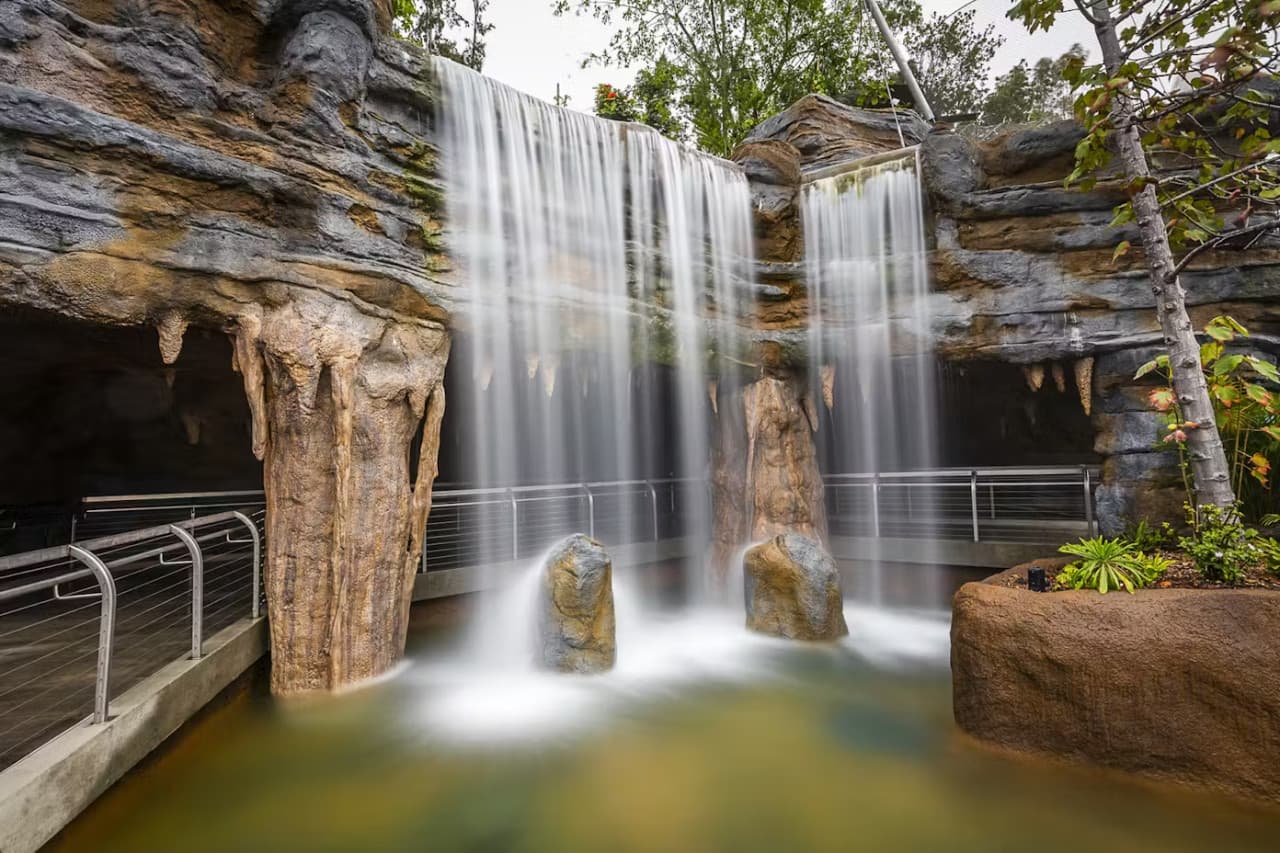 2-Visit Pass: San Diego Zoo + San Diego Zoo Safari Park Tickets - სურათი 5
