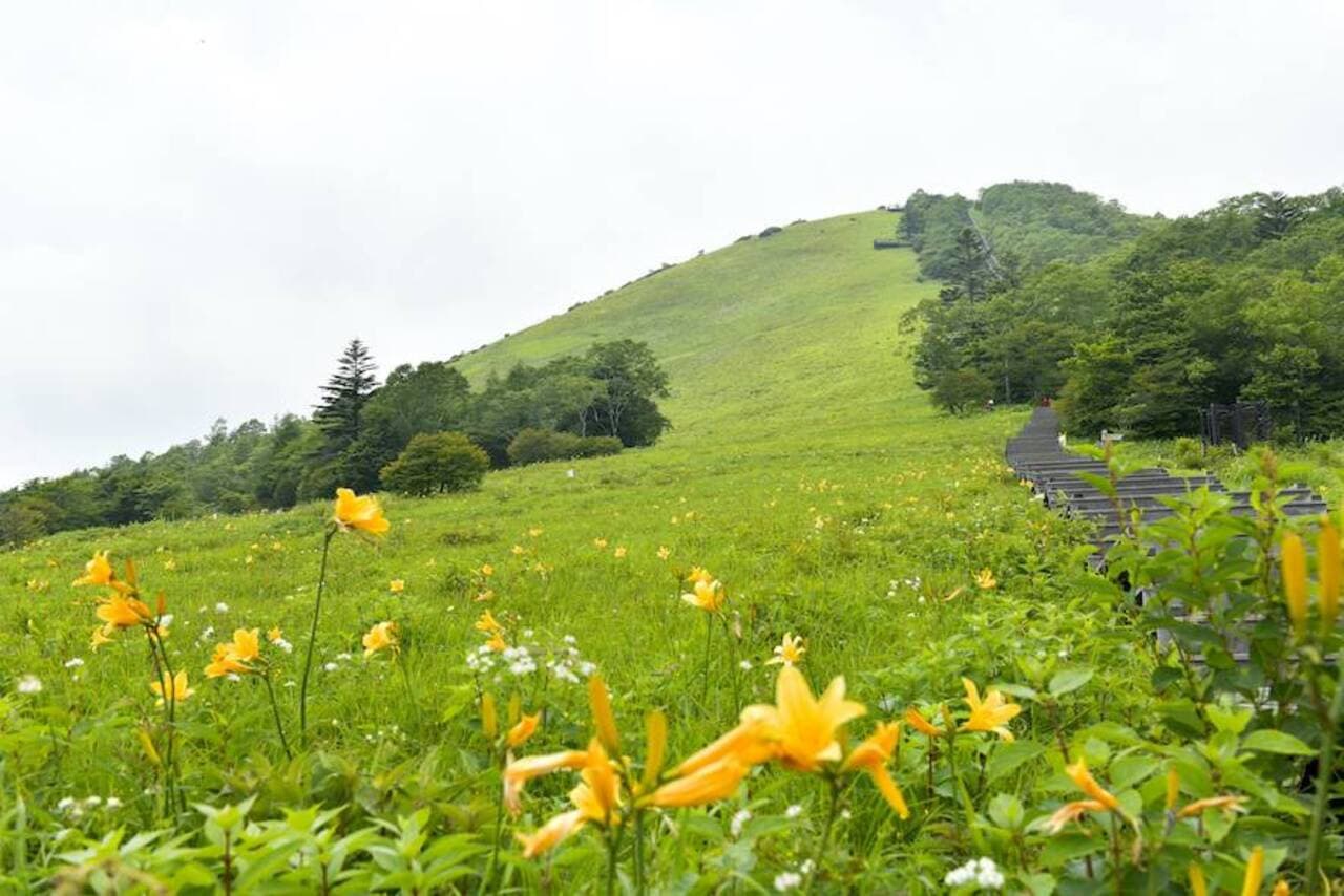 Nikko Pass All Area - სურათი 8