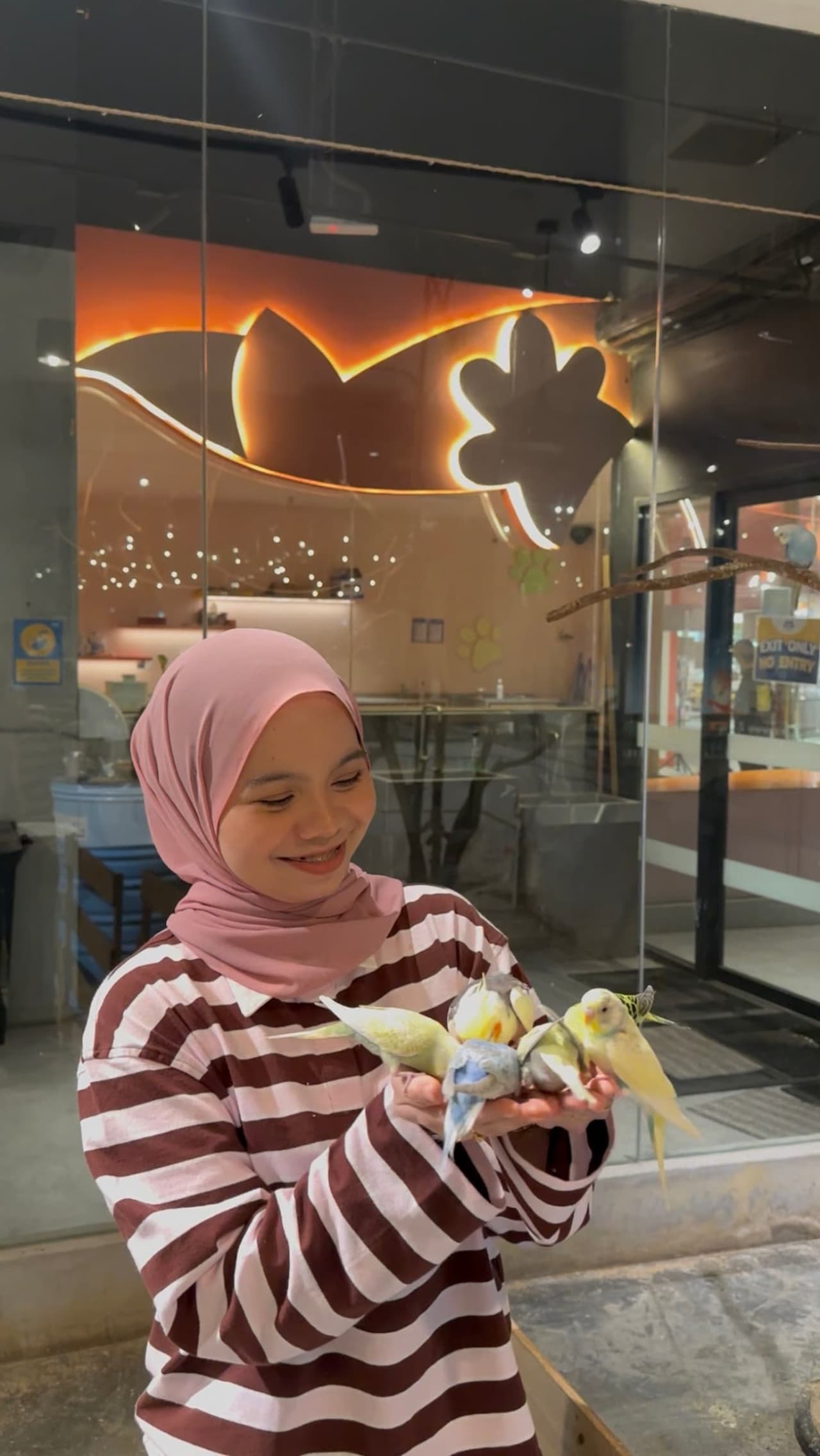 Just Farm Indoor Zoo Kuala Lumpur  (Previously Known As Just Pets Megastore) - სურათი 2