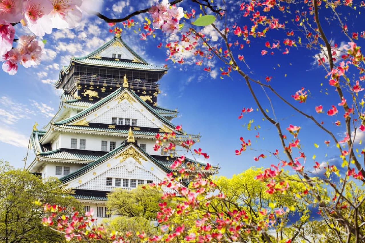Osaka Sky Vista or Nani Wonder Sightseeing Bus Tour - სურათი 9