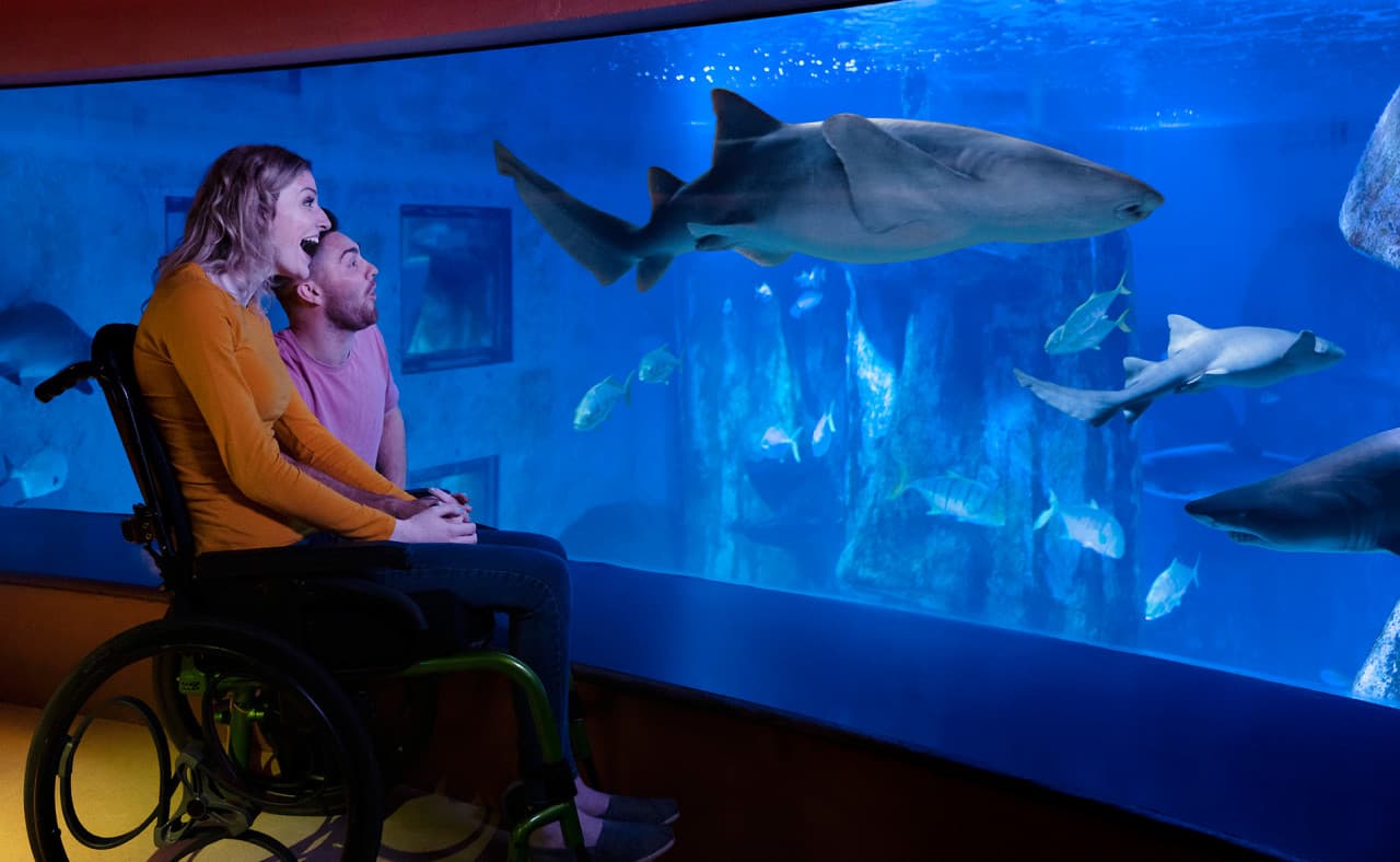 SEA LIFE London Aquarium Ticket - სურათი 18