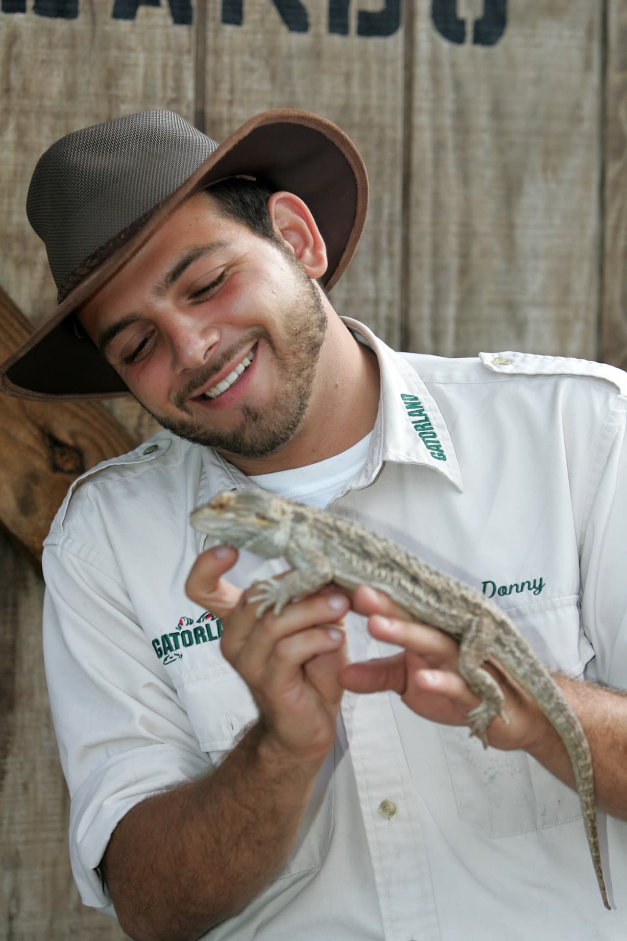 Gatorland Orlando - სურათი 4