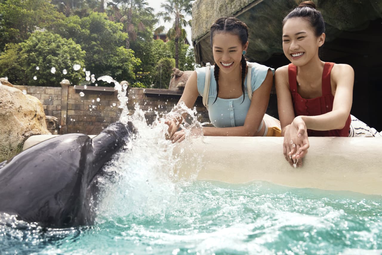 Dolphin Experiences at Marine Mammal Habitat Sentosa - სურათი 5