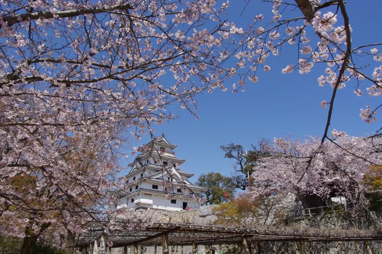 Karatsu Castle Ticket - სურათი 3