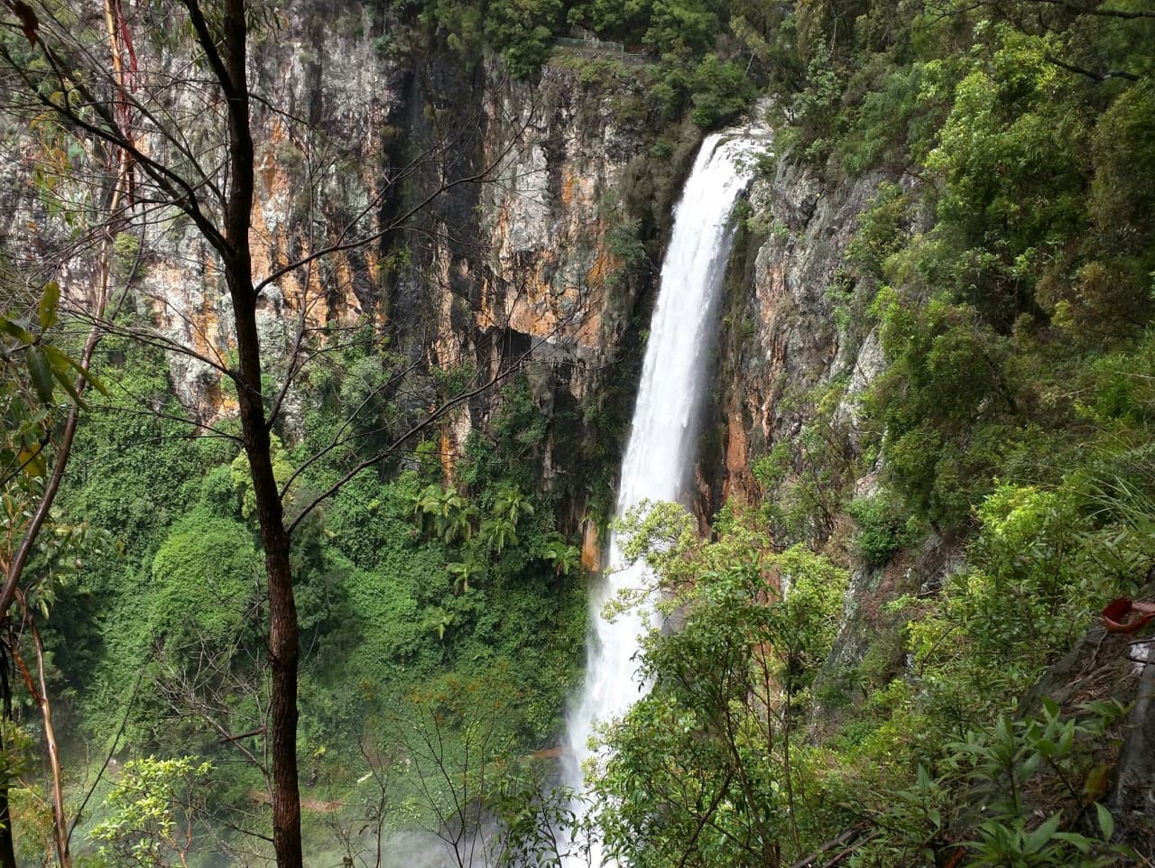 Springbrook National Park Tour: Natural Bridge and Waterfalls - სურათი 9