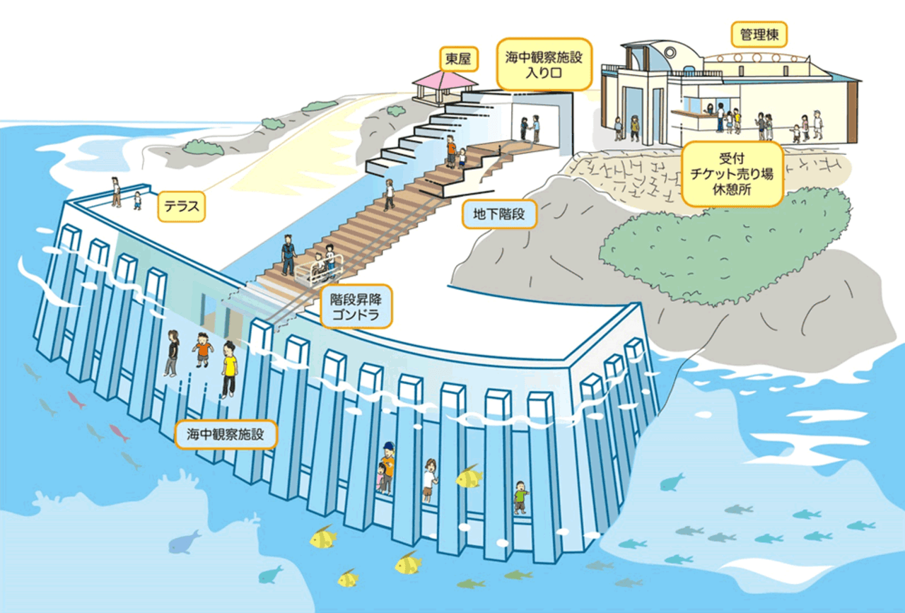 Okinawa Miyakojima Undersea Park - სურათი 13