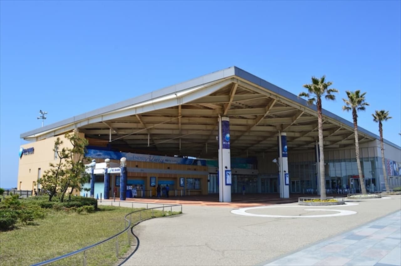 Enoshima Aquarium Ticket - სურათი 8