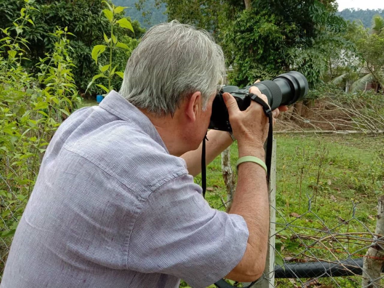 Desaru Coast Birdwatching Experience - სურათი 7