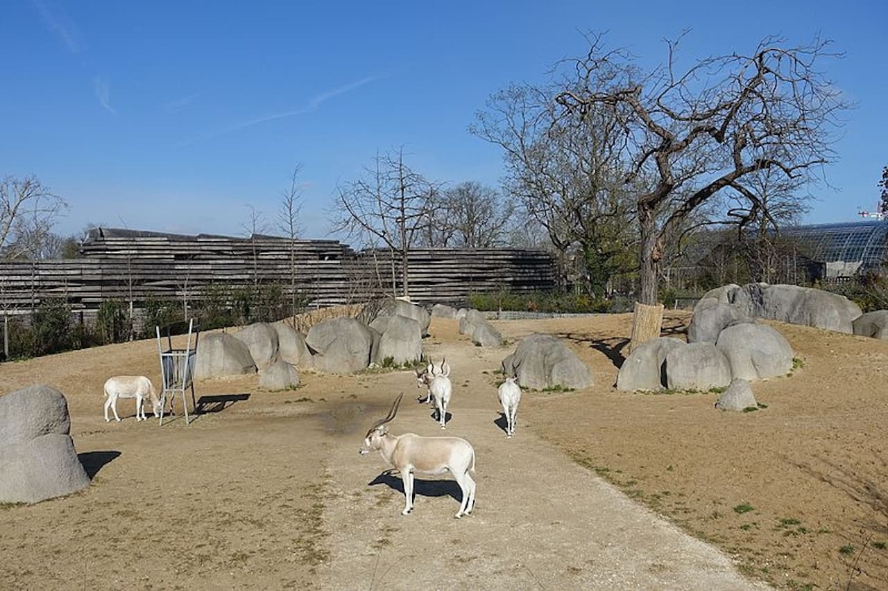 Paris Zoo (Parc Zoologique de Paris) - სურათი 6